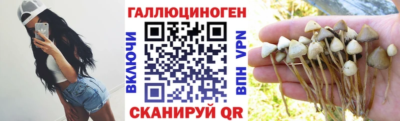 Псилоцибиновые грибы GOLDEN TEACHER  Зубцов 